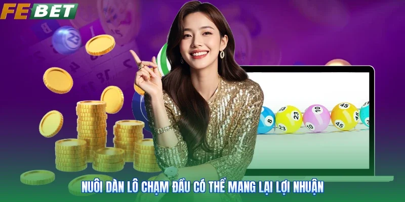 Nuôi dàn lô chạm đầu có thể mang lại lợi nhuận