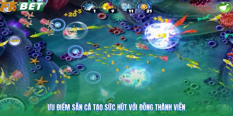 Ưu điểm săn cá tạo sức hút với đông thành viên
